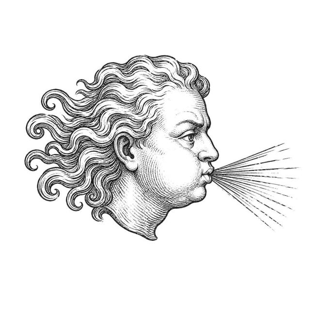 Head Blowing Wind